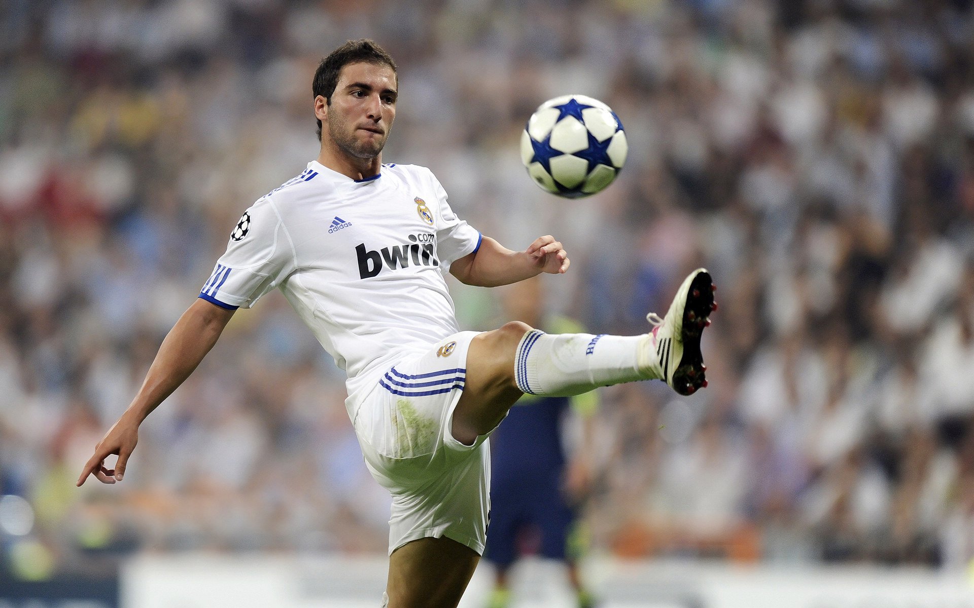 美洲杯激情四溢：明星演绎无与伦比！，美洲杯精彩